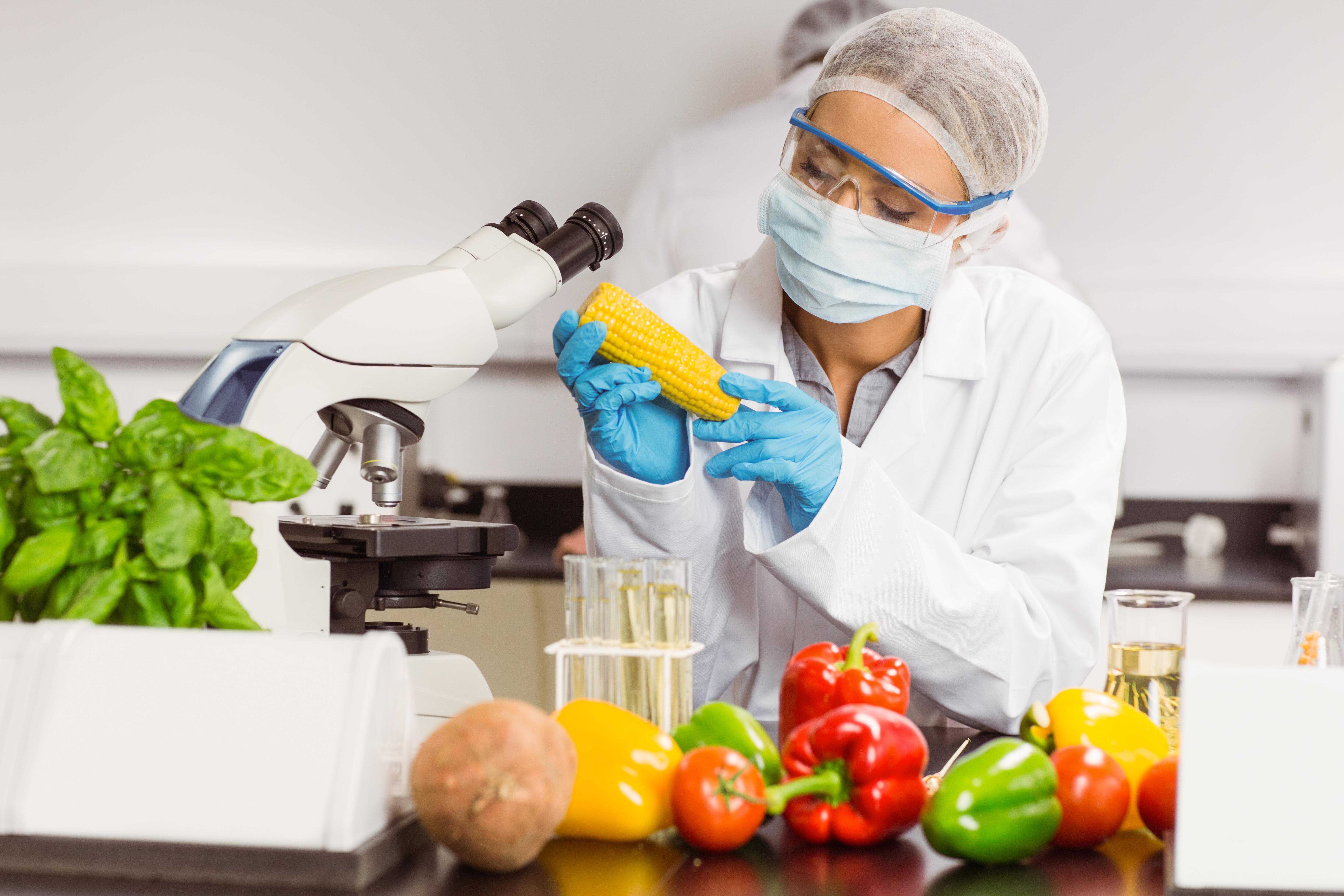 Санитарно гигиенические испытания. Безопасность пищевых продуктов. Качество продуктов питания. Качество и безопасность продукции. Биотехнология пищевых продуктов.